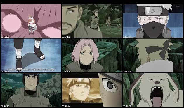 Descargar Naruto Shippuden 372 Sub Español [Ligero - MP4] [AVI] [HD